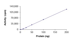 Sino Biological&nbsp;Recombinant Human FGFR3 Protein (K650Q, GST Tag), Active